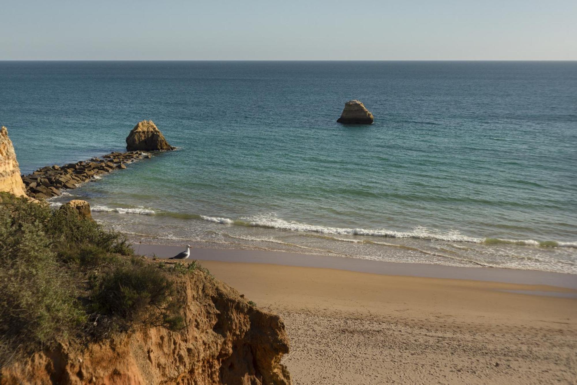 New - Portimao Casinha Apartment Exterior foto